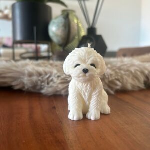 Hondje