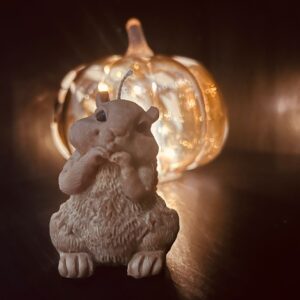 Eekhoorn kaars