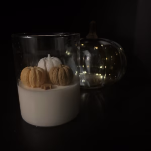 Ons Knusse Pompoen Tuintje